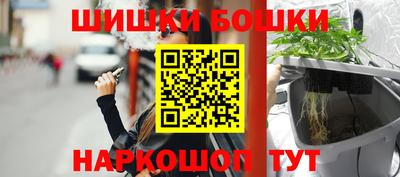 СК Заводоуковск