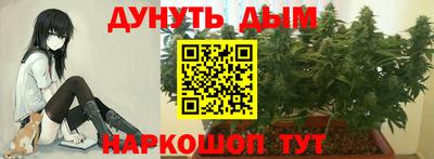 прущие крисы Жуковский