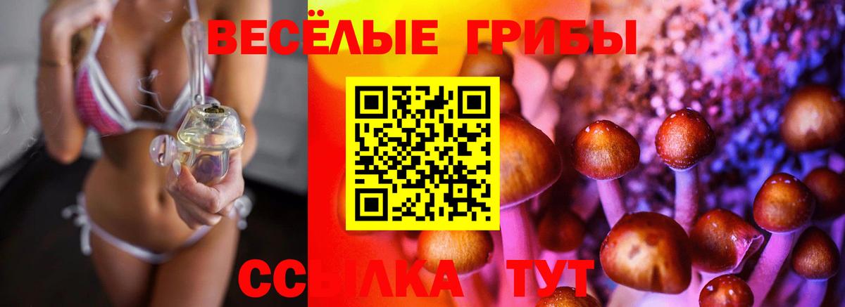 Красноярск  Псилоцибиновые грибы мицелий  Псилоцибиновые грибы Cubensis  купить наркотики сайты  Вход с VPN 